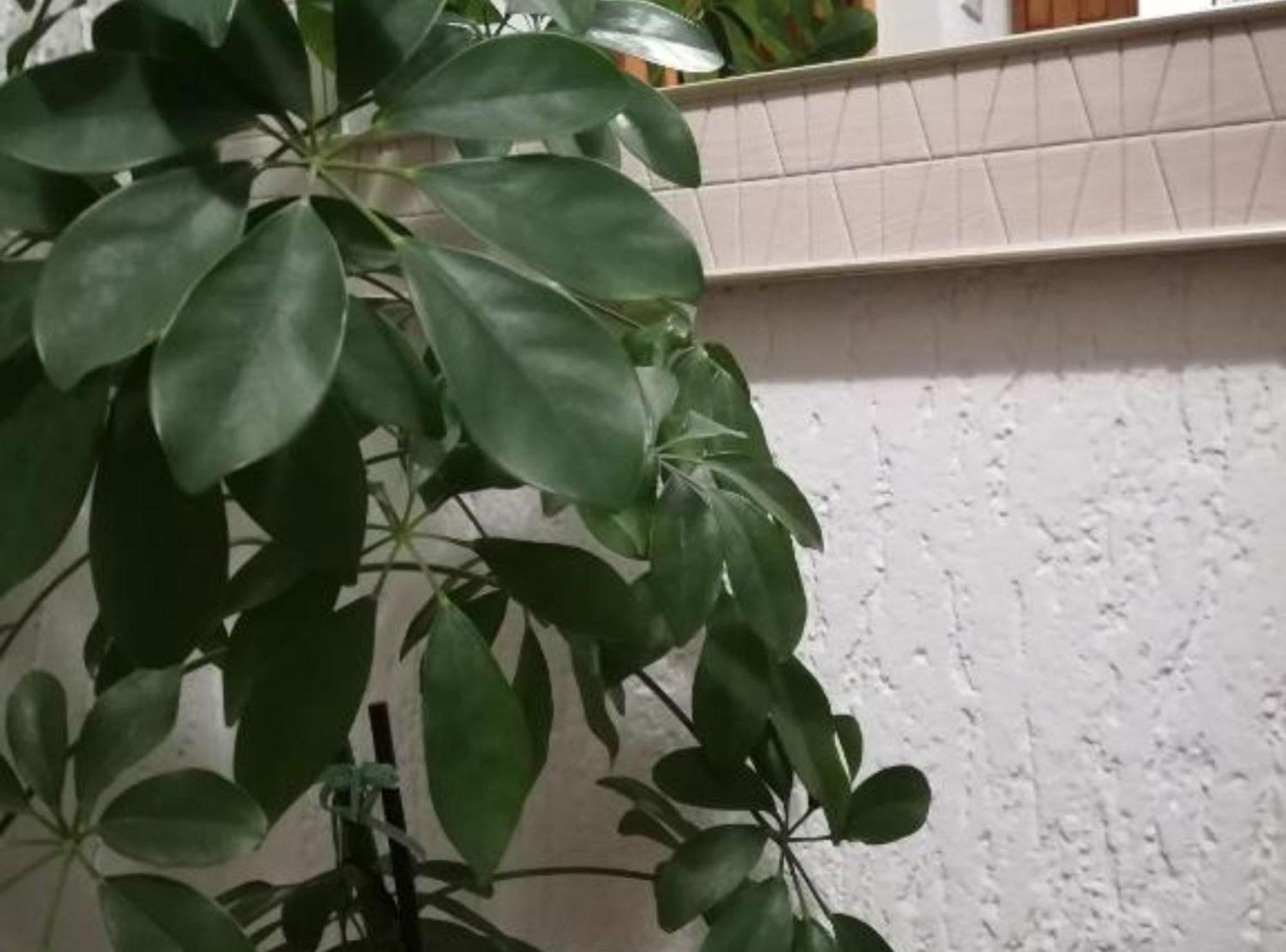 Apartman Olymp Osijek-Garaza Kültér fotó