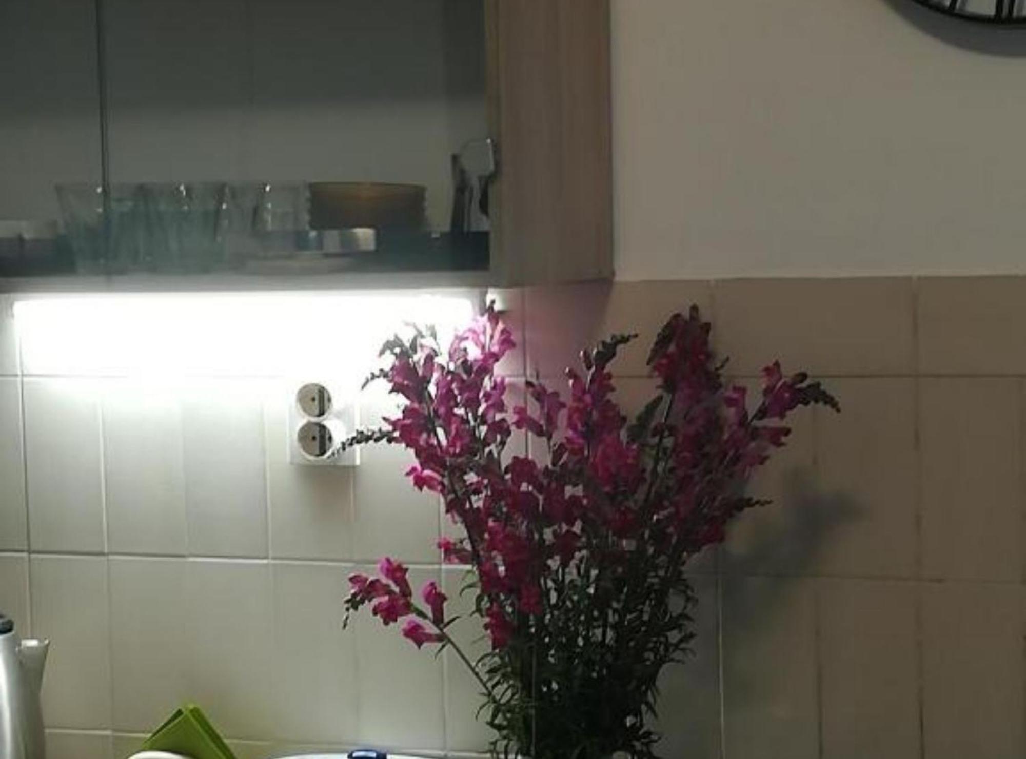 Apartman Olymp Osijek-Garaza Kültér fotó