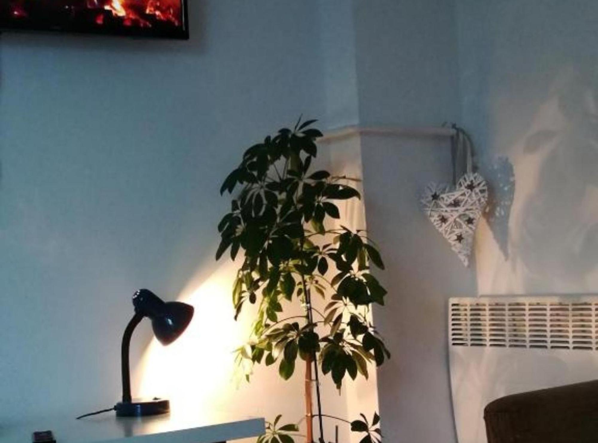 Apartman Olymp Osijek-Garaza Kültér fotó